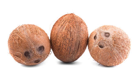 Three whole, big, fresh, organic tropical fruits of coconuts, isolated on a white background. An exotic and delicious coconuts. Fresh and nutritious coconuts.の写真素材