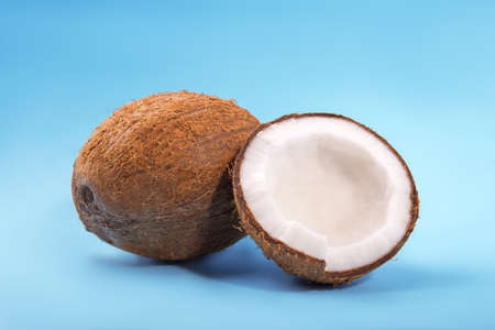 A close-up pair of beautiful coconuts on a bright light blue background. A coconut cracked in half. A tropical brown whole nut. Delicious summer fruits.の写真素材