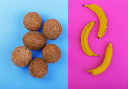 A lot of fresh coconuts on the left side on a bright blue background and lots of sweet and bright yellow bananas on the right side on a bright pink background. Tropical fruits.の写真素材