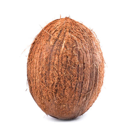 A whole single oval coconut with clipping path isolated on a bright white background. Raw and ripe appetizing hawaiian nut. Hairy coconuts. Organic vegetarian ingredients.の写真素材