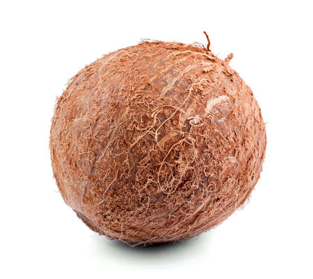 A whole exotic brown coconut, isolated on a white background. Freshness, healthful, natural and summer conception. Delicious tropical coconut. Beautiful fresh exotic nuts.の写真素材