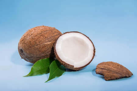 Close-up natural, exotic, and fresh brown fruit coconuts on a bright blue background. Whole and cut in half tropical and ripe coconuts on the table. Organic fruits.の写真素材