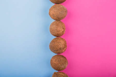 A few whole, fresh hawaiian coconuts on a bright pink and blue background. Big, organic, natural and juicy fruits of coconuts. Tasty brown exotic nuts.の写真素材
