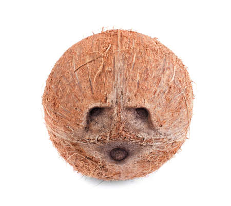 Close-up whole and delicious coconut, isolated on a white background. Brown natural tropical and fresh fruit coconut. Organic and nutritious vitamins.の写真素材