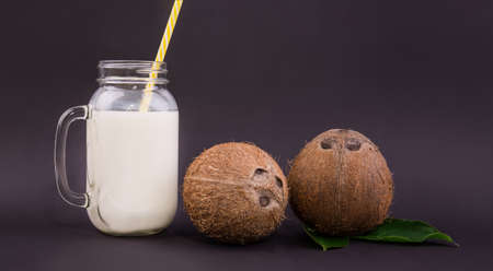 A big transparent mason jar with fresh milk and two juicy brown coconuts on the dark purple background. A long, plastic yellow straw in a mason jar with coconut milk. Fresh green leaves near coconuts.の写真素材