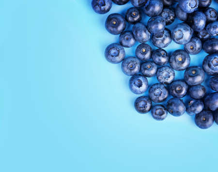A view from above on a pile of tasteful blueberries on a saturated blue background.  A close-up of refreshing and appetizing blueberries. Healthful ingredients for sweet summer fruit salads.の写真素材