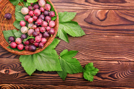 Tasty gooseberries different shades of bright red color with green leaves in a light brown basket. The crate with juicy, ripe and healthful berries on the table.の写真素材