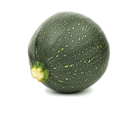 A single dark green zucchini isolated over the white background. A close-up picture of a tropical and tasteful zucchini. Nutritious and juicy vegetables for healthy salads and diets.の写真素材