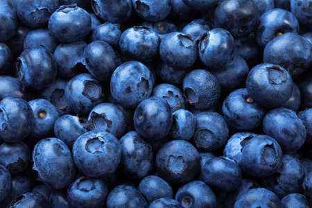 A fantastic blueberry background. A macro picture of dark and saturated blueberries. Refreshing...