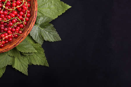 A partial beautiful composition of fresh red currant with fresh leaves in a small crate on a black...