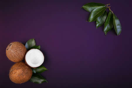 A close-up of colorful cut coconuts with green leaves on a dark purple background. Coconut cracked into pieces and fresh leaves. Exotic fruits for vegan diet. Healthy lifestyle.の写真素材