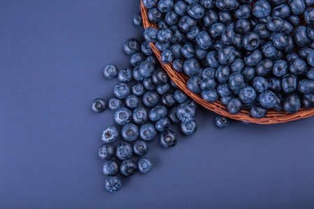 A view from above on bright blueberries in a wooden wicker basket on a saturated blue background. Fresh blueberries falling from a brown basket. Nutritious and healthy berries. Copy space.の写真素材