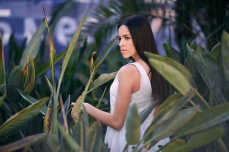 An attractive brunette girl among fresh green leaves. A beautiful and charming young woman in a white dress on exotic leaves background. A serious and glamorous brunette girl on natural background.の写真素材