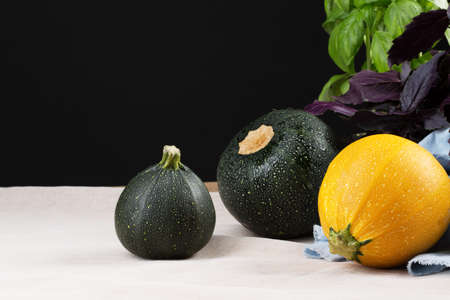Three colorful zucchinis and basil on a black background. Organic vegetables for healthy salads on a...