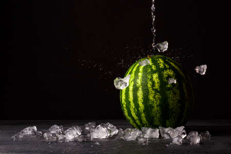 A whole single striped watermelon on a black table background. A green watermelon next to white crushed ice cubes. Big exotic berries for desserts. Nature, refreshment, freshness concept. Copy space.の写真素材