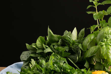 Various kind of fresh herbs on a saturated black background. Big branches of organic parsley and green basil on the table. Healthful, natural and rustic herbs for salads.の写真素材