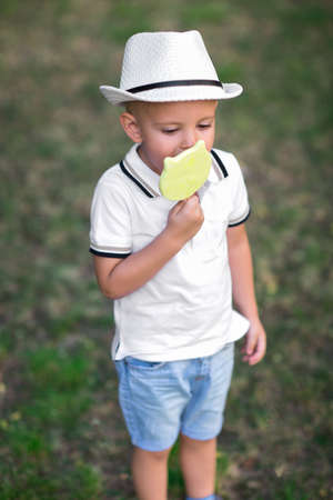 A pretty kid in a hat eating candy on a green background. Cute boy with a lollipop. Kids with sweets. Enjoyment concept.の写真素材