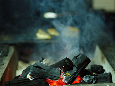 Grilled chicken on B-B-Q. Fried meat on a grid blurred background. Meat with firewood. Copy space. Outdoors concept.の写真素材