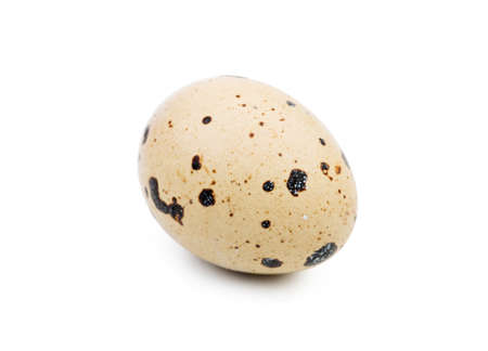 Close-up of an uncooked quail egg, isolated on a white background. Organic and natural product. Healthy food concept.の写真素材