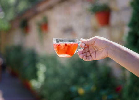 A ladys hand is holding a hot red drink from berries on a natural blurred background. Fresh wild strawberry tea.の写真素材