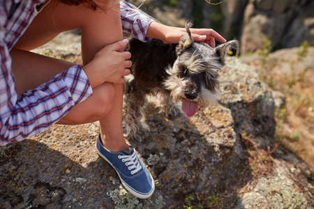 A close-up picture of a cute puppy in female hands. Young blond woman caressing her dog on a blurred natural background. A tourist trip with a dog. Nature, animals, trip concept.の写真素材