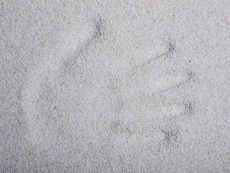 Hand print on a white sand surface as a background. Texture, holiday, beach concept. Copy space.