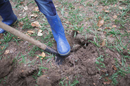 The boy is digging the ground in the park in the fall. Worked process.の写真素材