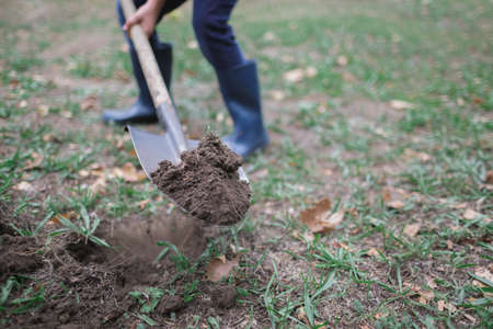 The boy is digging the ground in the park in the fall. Worked process.の写真素材