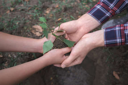 The boy has planted a young tree into the soil. Earth day. Male hands holding the earth.の写真素材
