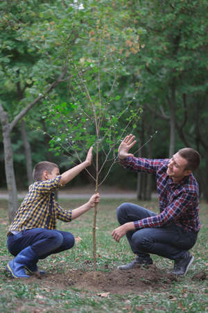 Brothers plant a tree in the garden. Family work. A planted tree in the forest.の写真素材