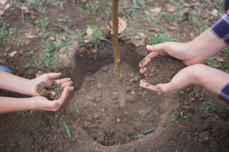 The boy has planted a young tree into the soil. Earth day. Male hands holding the earth.