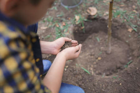The boy has planted a young tree into the soil. Earth day. Male hands holding the earth.の写真素材