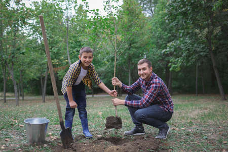 The brothers are going to plant a tree. Family work. Process of planted tree at the forest.の写真素材