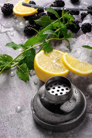 Blackberries, slices of yellow vivid lemon, green fragrant mint leaves, a silver cap of a shaker, little pieces of ice on a colorful background.の写真素材