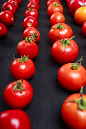Close-up of perfectly organized in lines raw, ripe, whole tomatoes on a black table background. Many colorful autumn tomatoes.の写真素材