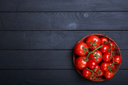 Top view of wicked bowl full of beautiful, red, ripe, tomatoes on a dark wooden background. Juicy tomato vegetables on a table. Copy space.の写真素材