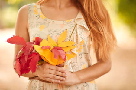 Close-up of a girl in a white dress which holds colored autumn leaves in hands.の写真素材