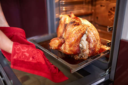 Woman taking turkey out of oven on a kitchen background. Roasted, traditional turkey cooking. Christmas turkey.の写真素材
