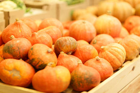 A huge box with lots of pumpkin. Orange ripe pumpkin in a wooden box in the store. Close-up of colorful vegetables. Food concept.の写真素材