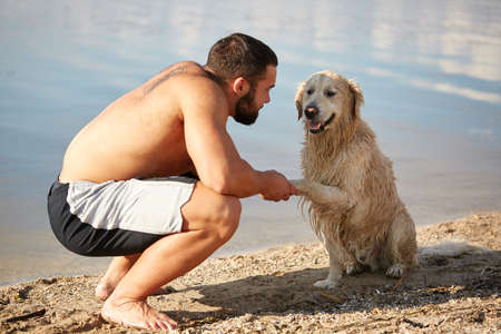 Happy labrador enjoy playing on beach with owner.の写真素材
