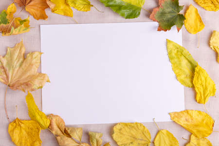 Fallen leaves of autumn concept of autumn on the background of cloth tableclothの写真素材