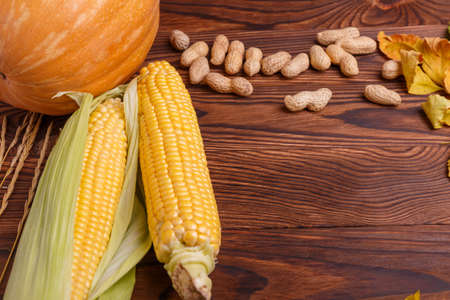 Composition of autumn vegetables on a brown wooden background pumpkin, corn, peanuts, leavesの写真素材