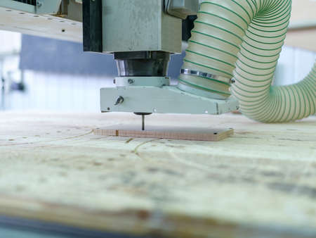 The machine for sawing lime wood makes patterns on the tree with a special nozzle