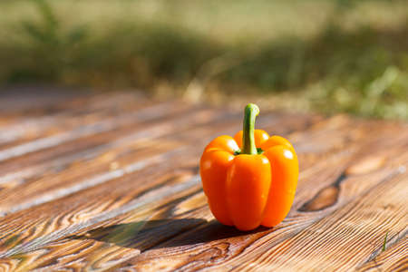 Bulgarian pepper on a brown wooden background with a blurred backgroundの写真素材