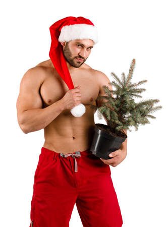 Portrait of a macho man in Santa costume with a small Christmas tree.の写真素材