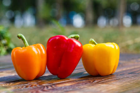 Homemade multi-colored peppers standing side by side on a brown wooden background with a blurred backgroundの写真素材