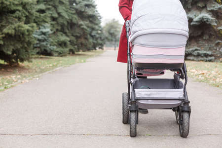 Young beautiful mom walking with baby in the park.