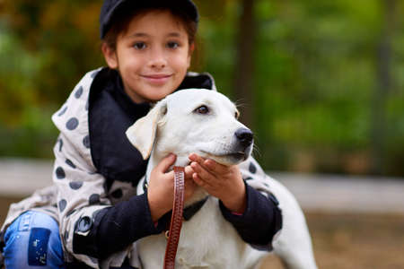 A cuttie dog playing with owner outdoors. Animal concept.の写真素材