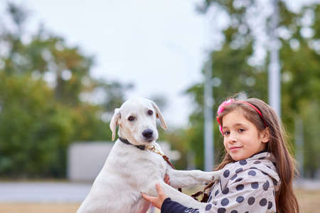 A cuttie dog playing with owner outdoors. Animal concept.