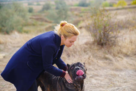 Amazing dog walking with owner outdoors. Pet concept.